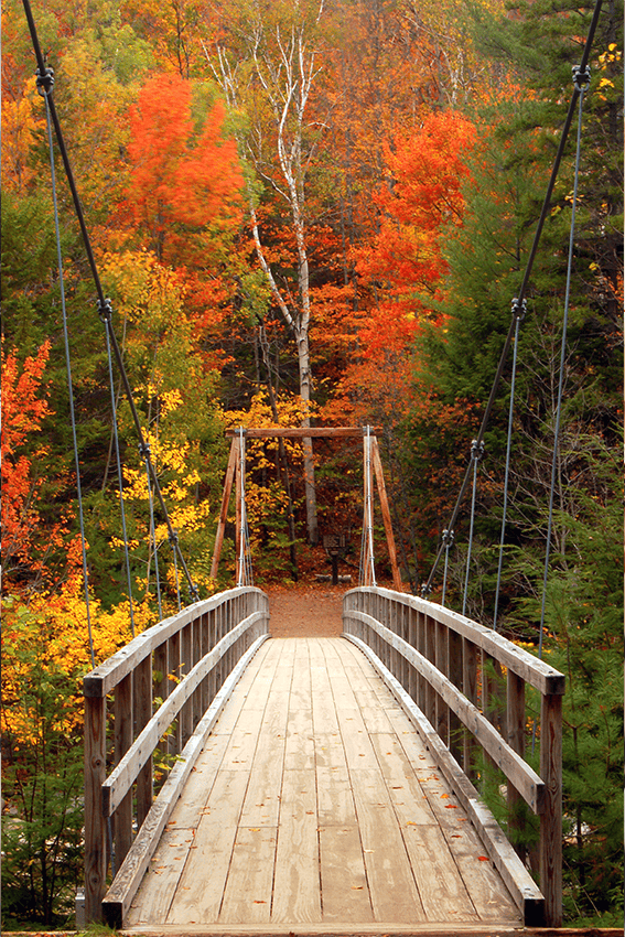 Rouge Valley walking and jogging trails near Markham Village Townhomes